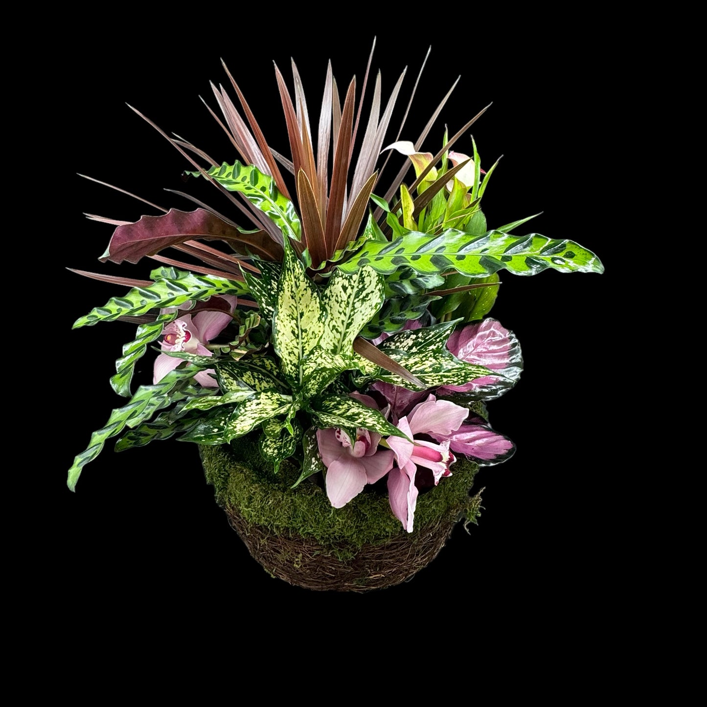 Plant Basket