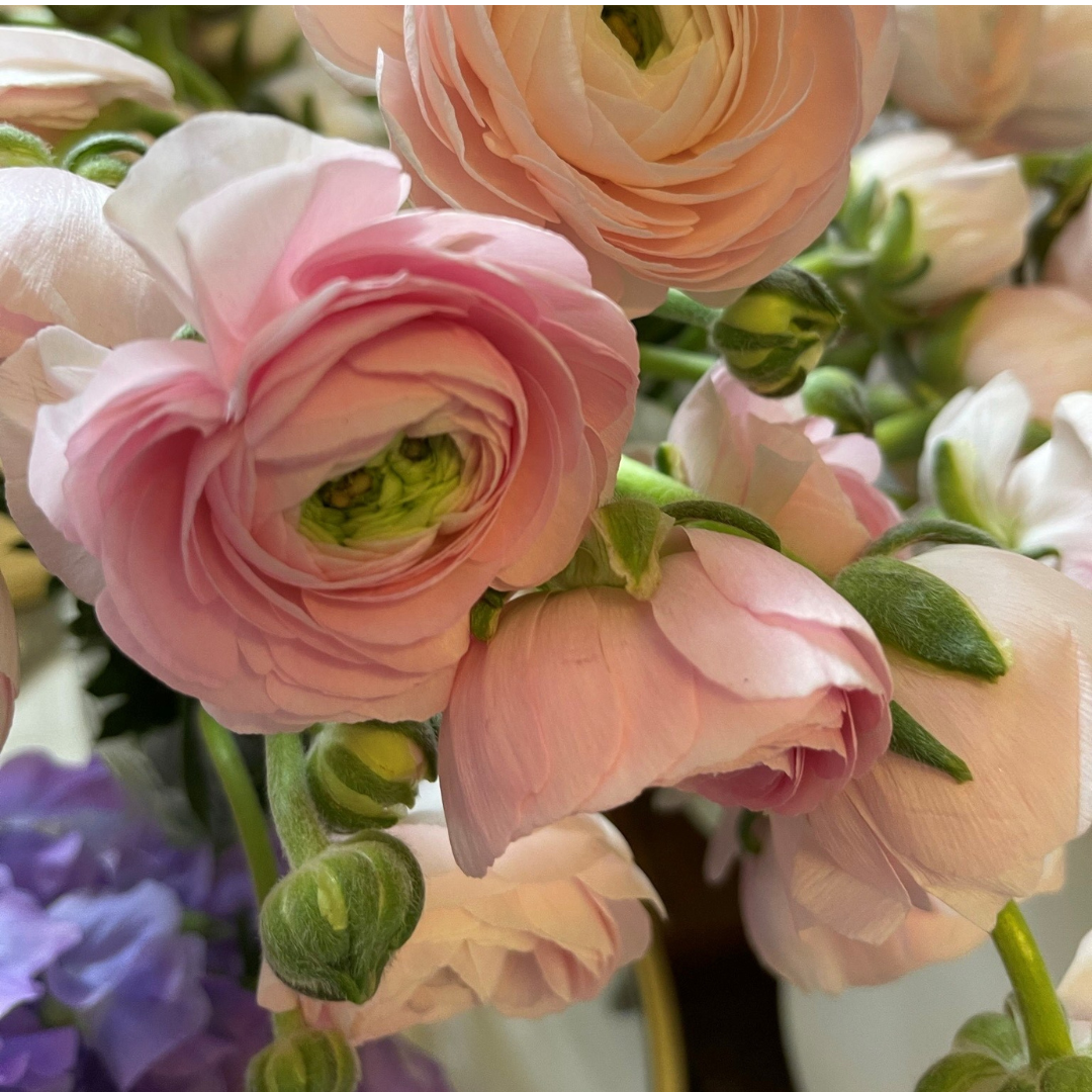 Designer's Choice Floral Arrangement